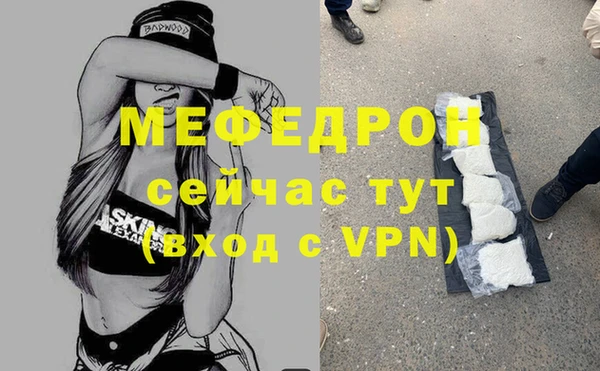 индика Беломорск