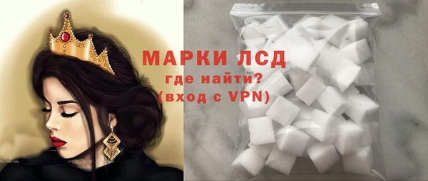 индика Беломорск