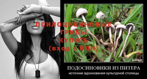 индика Беломорск