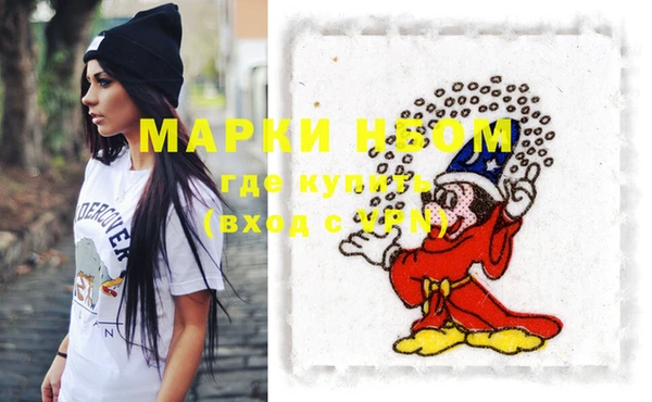 индика Беломорск