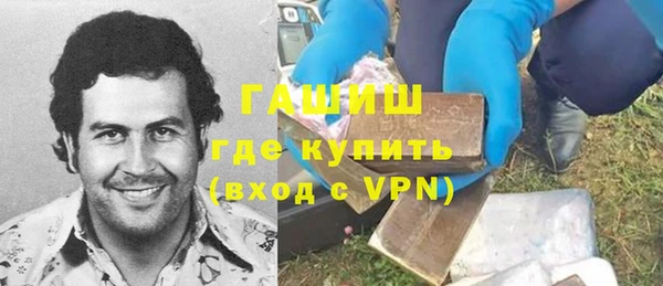 индика Беломорск