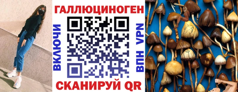 цены наркотик  Бологое  omg как войти  Псилоцибиновые грибы GOLDEN TEACHER 