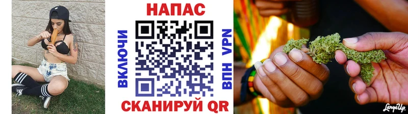 Шишки марихуана семена Бологое
